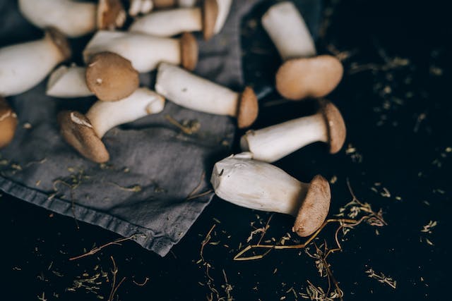 大自然の野菜ときのこ