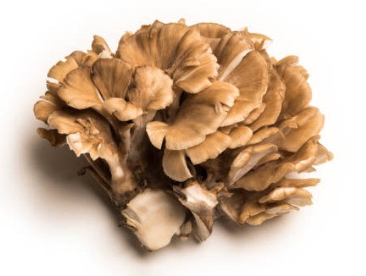 舞茸-株式会社カットきのこジャパン